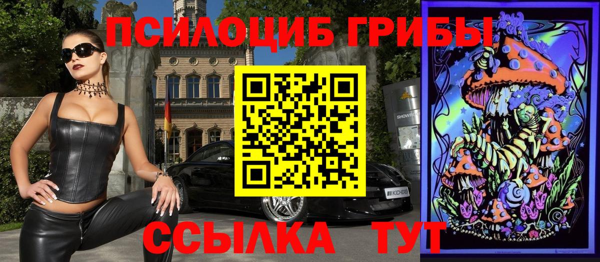 Псилоцибиновые грибы Cubensis Советская Гавань