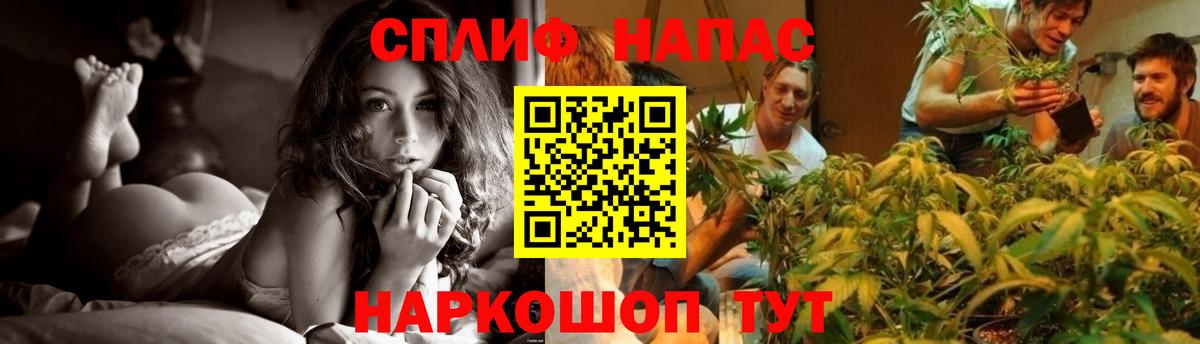 Советская Гавань  Шишки марихуана марихуана  Вход с VPN  Марихуана конопля 